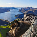 Flat-Lay Hammock Tent with Bug Net – product image 3